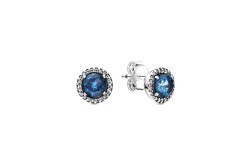 Earrings (37)