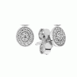 Silver Earrings DOE9956