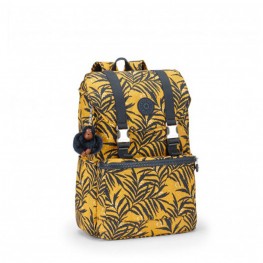 EXPERIÊNCIA IMPRESSA K04478